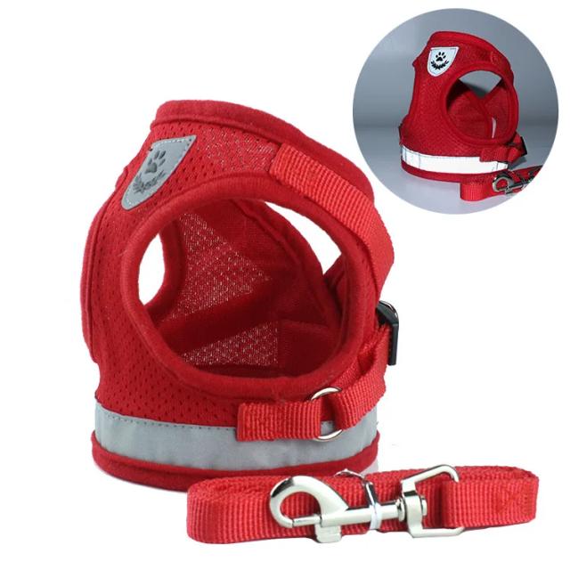 Conjunto de Arnês e Trela Reflexiva para Pequenos Cães e Gatos - Ideal para Filhotes, Pugs, Chihuahuas e Bulldogs