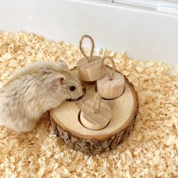 Brinquedo De Mastigação Em Forma De Madeira Redonda, Suprimentos Educativos para Pequenos Animais De Estimação, Papagaio, Hamster, Coelho, Brinquedos de Forrageamento - Image 5