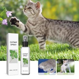 Herbal Cat Joy Catnip Spray, Mysterious Cat Joy, Aipo Animais De Estimação, 1Pc, 3pcs - Image 2