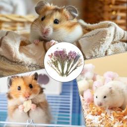 Nature Flower Herb Bedding Decor, Hamster Cage Suprimentos para Gerbils Coelho e Outros Pet Pequeno - Image 3