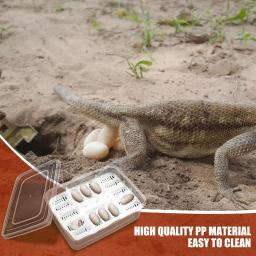 Caixa de incubação transparente Reptile Egg, Caso para incubação Gecko Lagartos Lions Juba, Reprodução Incubação, 16 Grades - Image 3