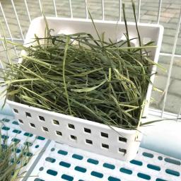 Pequeno alimentador alimentos para animais estimação tigela cesta grama hamster pendurado para cobaias galesaur - Image 3