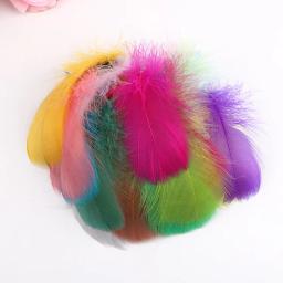 Penas coloridas de ganso natural para decoração, criativo, lazer, bricolage, embalagem, 100-500pcs, 5-8cm, 7-12cm - Image 5