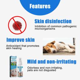 30ml animais de estimação anti-coceira e alívio da coceira cães pele do gato cuidados saudáveis spray cuidados com a pele tratar produtos para coceira e pele sensível - Image 4