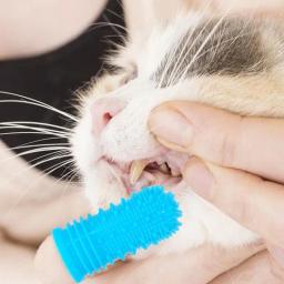 Silicone Dedo Toothbrush para Pet, Dog and Cat Toothbrush Kit, Pet Dentes Limpeza Suprimentos, 4 Pack - Image 3