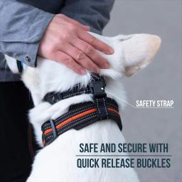 Focinho de liberação rápida para cão, Cabeçada de cabeça com alça de segurança, Focinho anti-mordida do cão, Para parar o cão puxando a trela - Image 4