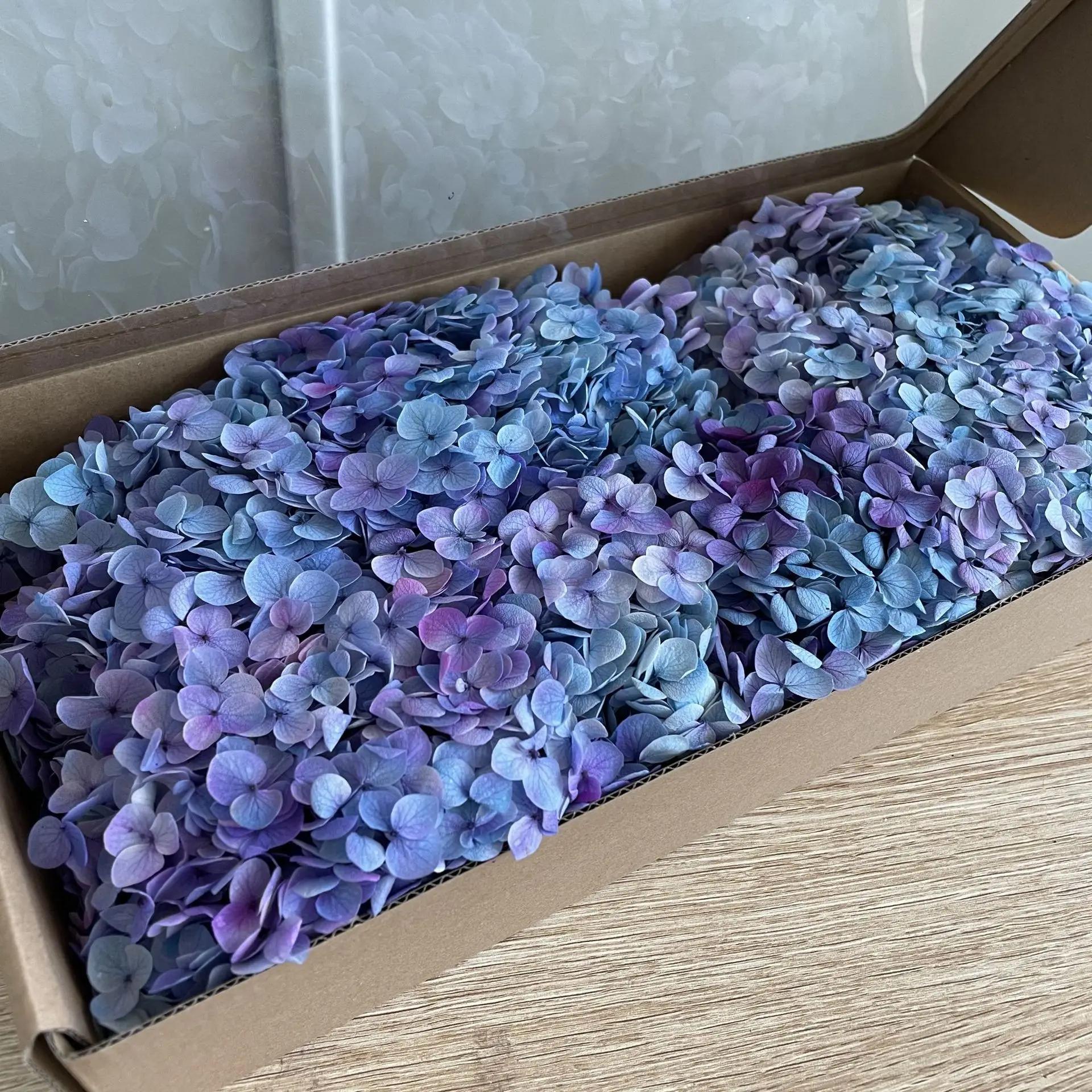 Alta Qualidade Preservada Pétalas de Hortênsia, Real Flores Eternas, Decoração Do Presente Da Festa De Casamento, Presente DIY, 100g - Image 1