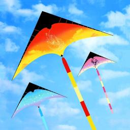 Frete grátis delta pipas voando para crianças pipas linha brinquedos divertidos esportes rc parapente kite carretel enrolador profissional power kite koi - Image 6