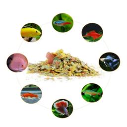 Flocos altos-nutritivos do crescimento dos peixes tropicais, coloração do alimento dos peixes e alimentação do brilho - Image 2