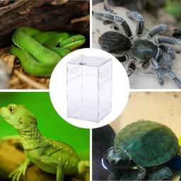 Caixa de reprodução de répteis acrílicos, terrário transparente, inseto, aranha, lagarto, escorpião, gaiola de alimentação, arbóreo - Image 6