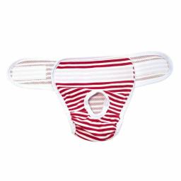Lavável Algodão Pet Fralda, Calça De Cão Reutilizável, Cuecas Fisiológicas, Suprimentos De Limpeza De Animais - Image 3