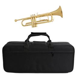Estojo de Trompete para Instrumento Musical Prático Caixa De Armazenamento Bolsa para Prática Diária Conjuntos e Músicos - Image 1