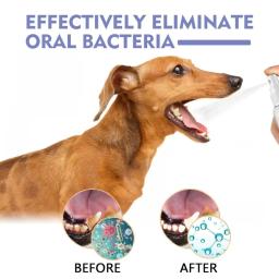 Spray de limpeza dental para animais, remove manchas e mau hálito, higiene bucal, desodorante para animais, cães e gatos, fresco, 30ml - Image 2
