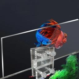 2 pçs tanque peixes aquário vidro capa titular acrílico suporte ferramenta - Image 3