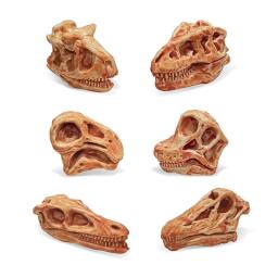 Brinquedo dinossauro de plástico para colecionadores Fóssil animal Modelo de esqueleto de crânio Dinossauros de ensino Presentes artesanais Brinquedos de decoração para casa - Image 6