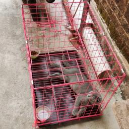 Gato de estimação suprimentos grandes gaiolas de gato casa especial interior gatinho ultra-pequeno portátil dobrável gaiola de gato villa gaiolas simples para o cão - Image 5