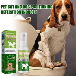 Potty Spray de treinamento para gato e cão, indutor de banheiro interior e exterior, perfume atraente, ajuda filhotes, Pet Shop - Image 2