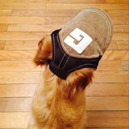 Boné de beisebol com orelhas para cães, chapéu ajustável, protetor solar, esportes ao ar livre, cães pequenos médios e grandes - Image 2