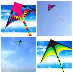 Frete grátis grande delta kite para crianças kite nylon brinquedos voando kites arco-íris kite brinquedo ao ar livre borboleta asas flight kite cobras - Image 1