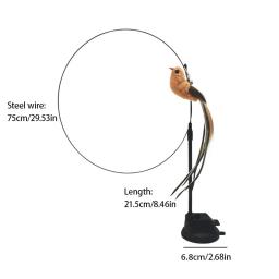 Atualizado Epoxy Sucker Steel Wire Long Rod Feather Cat Teasing Stick Cat Self Oi Não Nocivo Ingredientes - Image 6