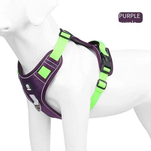 Arnês para Cães: Correias, Acessórios e Trela para Conforto e Segurança do Seu Pet
