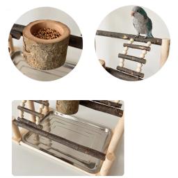 Bird Playground Natural Wood Perch Stand com Bandeja De Aço Inoxidável, Bird Ladder, Alimentando Cup, Bird Supplies, Bird Acessórios - Image 4