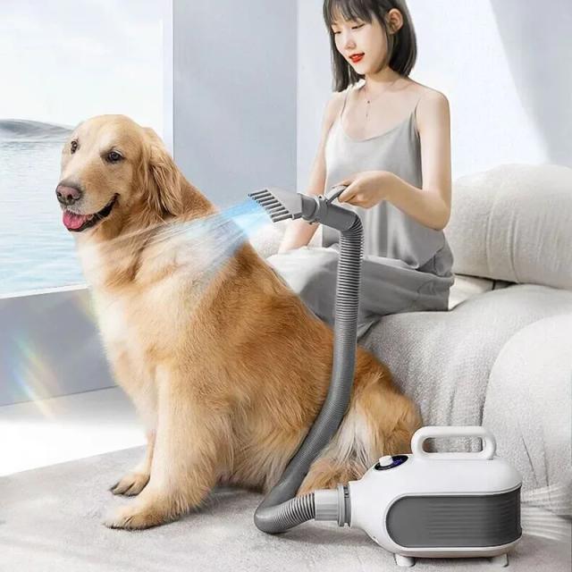Secador de Cabelo Quente 2000W para Animais de Estimação de Todos os Tamanhos: Cães e Gatos em Menos Tempo