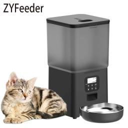 Alimentador automático para cães e gatos, grande capacidade, lento inteligente, distribuidor de alimentos, tigela de alimentação, suprimentos visível celeiro, 6L - Image 1