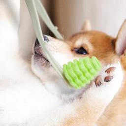 Confortável e relaxante Pet Massager, Cat Roller, Dog Massagem Suprimentos, aliviar o stress, Relaxer - Image 4