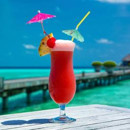 50 canudos para beber guarda-sol guarda-chuva, coquetel de praia havaiano luau decorações de festa suprimentos - Image 4