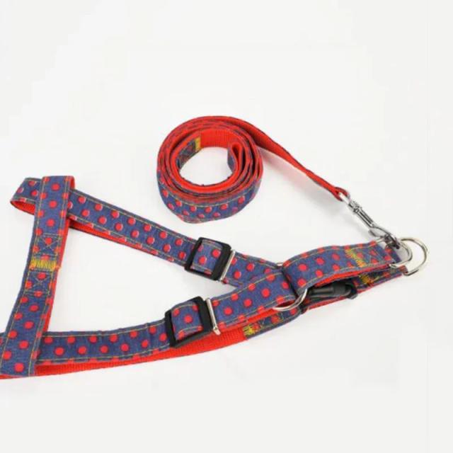 Conjunto de Arnês e Coleira Ajustável para Cães de Todas as Raças com Treinamento Ideal para Filhotes