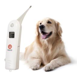 Termômetro inteligente para animais de estimação Termômetro veterinário digital rápido Termômetro veterinário para cães Cavalo - Image 1