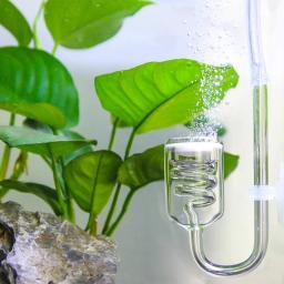 Difusor de co2 para aquário, espiral de vidro de dióxido de carbono, atomizador com ventosa para aquário, acessórios para tanque de peixes - Image 4
