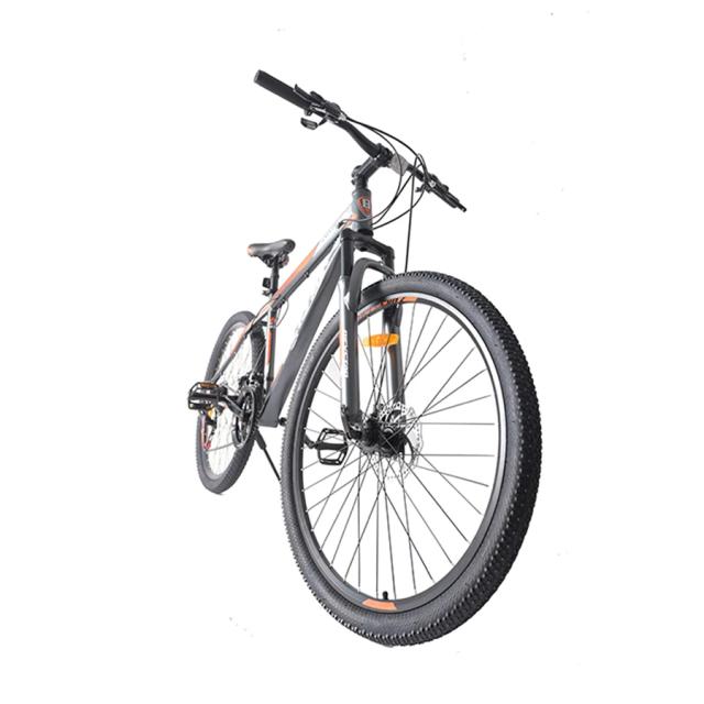 Bicicleta de Montanha Alumínio 29 Pro Sport