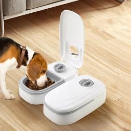 Alimentador automático para animais de estimação, 2 refeições, dispensador inteligente de comida para gatos, para alimentos úmidos e secos, acessórios, alimentador automático - Image 1