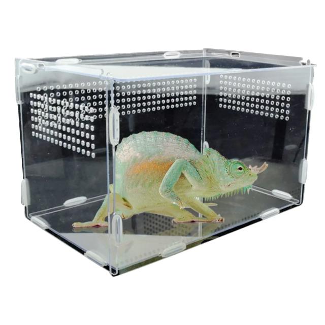 Terrário Acrílico Transparente Durável: O Refúgio Ideal para Répteis e Insetos de Estimação