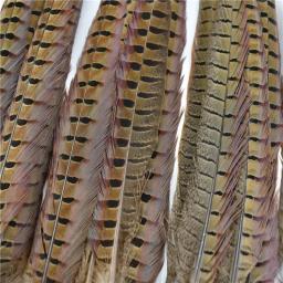 Penas naturais de feisão para artesanato, decoração de penas grandes, extensões de roupas na cabeça, plumas de carnaval, 10-75cm - Image 5