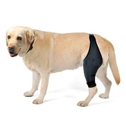 Pet Dog Joelho Dor Joelho Brace, suporte de quadril, suporte para pernas traseiras para cães idosos, deficientes e feridos - Image 3