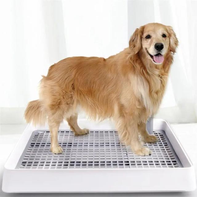 Suporte para Tapetes Higiênicos de Cachorro - Acessório de Treinamento para Filhotes