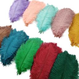 Penas Coloridas de Avestruz para Artesanato, Decoração Pena Decorativa Grande, Mesa Centerpieces, Jóias Artesanato, Branco e Preto, 10 Pçs/lote - Image 1