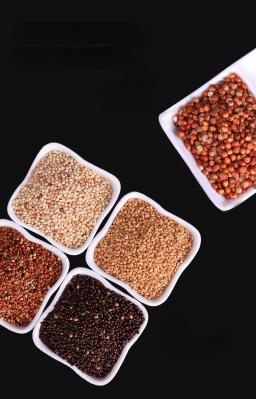 Alimento Natural Inteligente para Papagaio, Mistura Premium de Sementes, Boa Pena de Abeto, 0,5 kg - Image 3