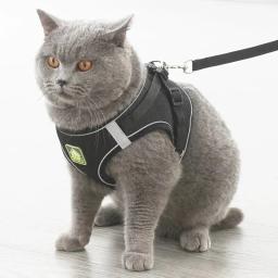 Reflective Pet Harness e Leash Set, No Pull Vest, malha respirável, cão e gato - Image 5