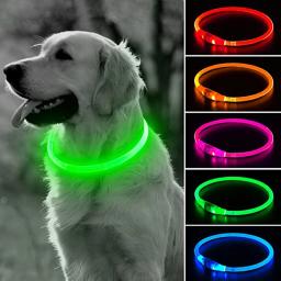 Led Dog Collar Luminous Usb Cat Dog Collar 3 Modos Levou Luz Brilhante Prevenção Perda Coleira LED Para Cães Pet Dog Acessórios - Image 1