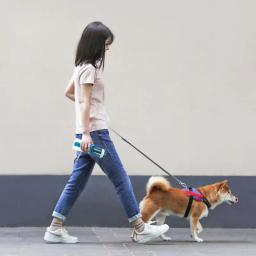 Garrafa de água cão portátil, bebedor de animais andando ao ar livre, tigela de cães e gatos, pet fornecimentos 3 em 1 - Image 5