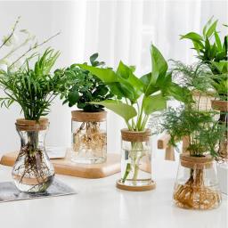 Garrafa De Vidro Com Rolha De Madeira, Micro Paisagem, Garrafa Ecológica, Vaso De Flor Redondo, Recipiente Hidropônico - Image 1