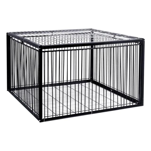 Gaiola Dobrável Galvanizada para Captura Humana de Pombos e Pássaros Feral