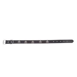 Ajustável Halloween crânio colarinho para Pet, Black Pet Collar, cão suprimentos, cachorro, 1pc - Image 1