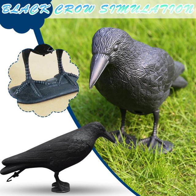 Simulação Realista de Corvo: A Fascinante Vida do Pássaro Preto na Natureza