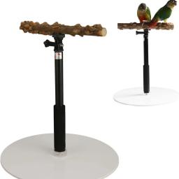 Altura ajustável Bird Perch Stand, Training Stand para Periquito Budgie, Pet Products, Indoor e Outdoor, Acessórios - Image 1