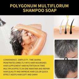 Cabelo Cor Dye Shampoo, Cinza, Capa Branca, Natural Corante Rápido, Reparar Limpeza Danificada a Seco, Raízes Nutritivas, Restaurar Cabelo Preto - Image 5